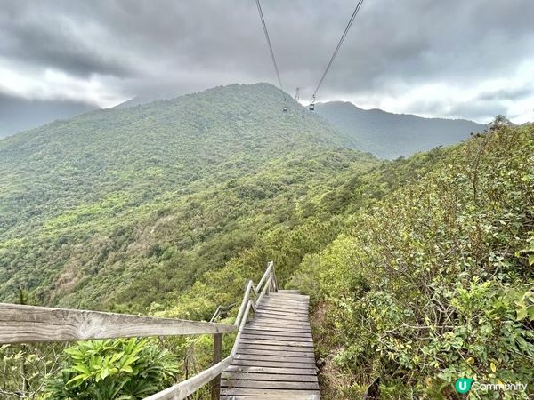 昂坪360救援徑「木棧步道」｜3.5小時靚景遠足｜日韓風打卡熱點