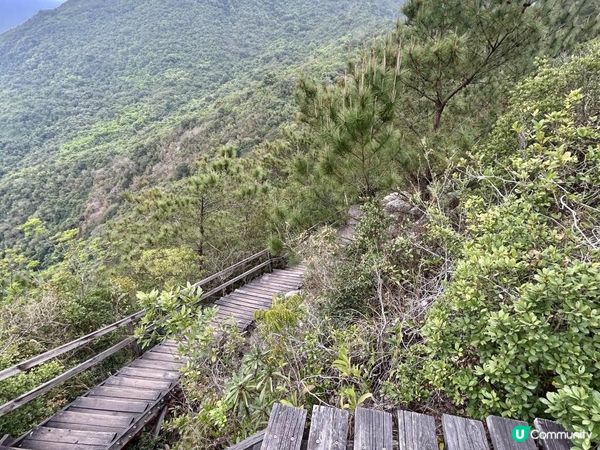 昂坪360救援徑「木棧步道」｜3.5小時靚景遠足｜日韓風打卡熱點