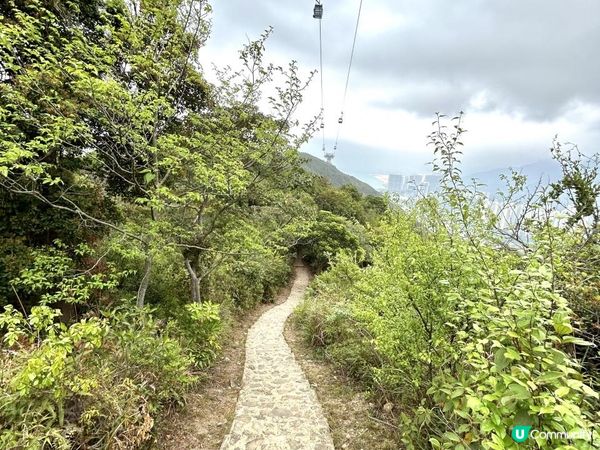 昂坪360救援徑「木棧步道」｜3.5小時靚景遠足｜日韓風打卡熱點