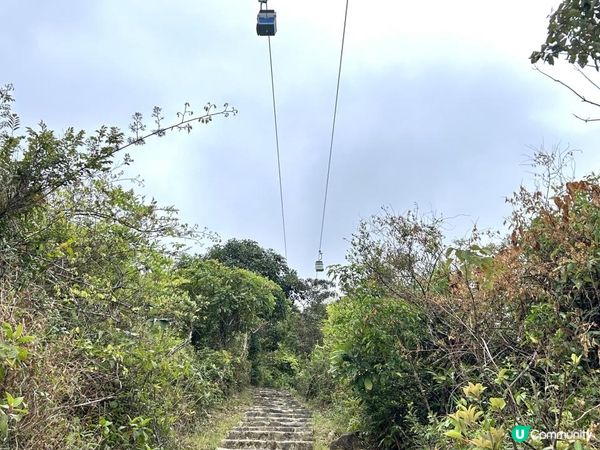 昂坪360救援徑「木棧步道」｜3.5小時靚景遠足｜日韓風打卡熱點