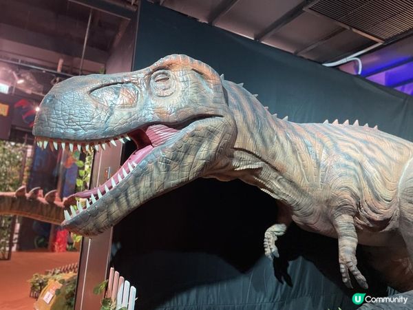 期待左好耐既《侏羅紀恐龍探險樂園香港站》終於開幕啦！😍 又多一個 #復活節好去處！