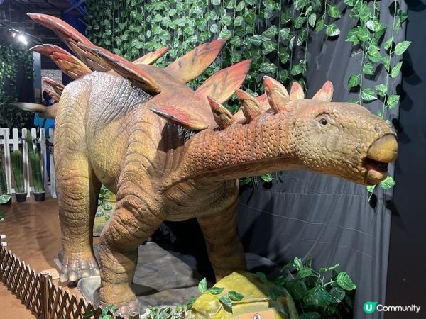 期待左好耐既《侏羅紀恐龍探險樂園香港站》終於開幕啦！😍 又多一個 #復活節好去處！