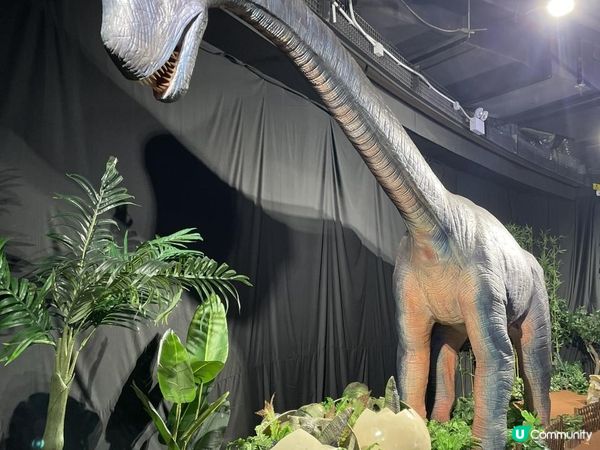 期待左好耐既《侏羅紀恐龍探險樂園香港站》終於開幕啦！😍 又多一個 #復活節好去處！