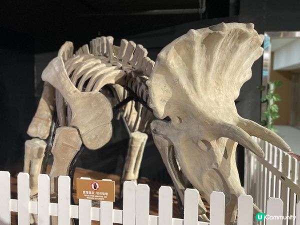 期待左好耐既《侏羅紀恐龍探險樂園香港站》終於開幕啦！😍 又多一個 #復活節好去處！