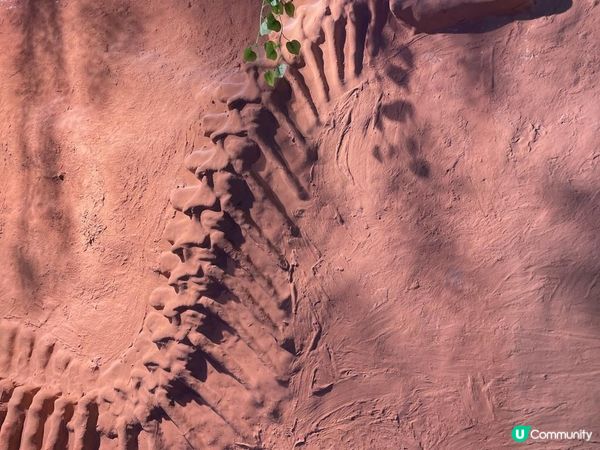 期待左好耐既《侏羅紀恐龍探險樂園香港站》終於開幕啦！😍 又多一個 #復活節好去處！