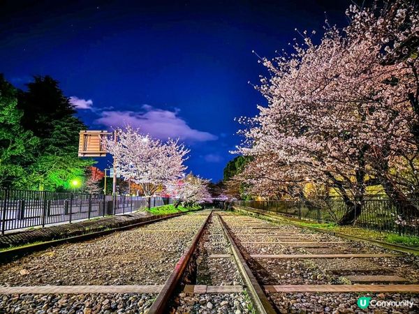 🌸蹴上鐵道櫻花