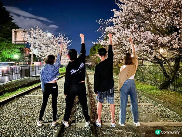 🌸蹴上鐵道櫻花