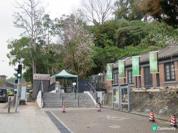 漫遊香港 - 美孚 饒宗頤文化館 散策 賞花相集