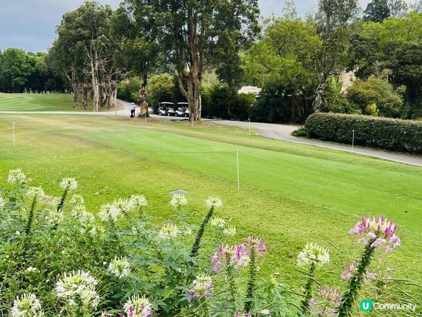 「假日好去處⛳️國際都會高爾夫球錦標賽」