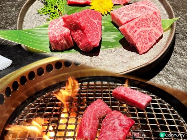 🎌高質日本燒肉🐮