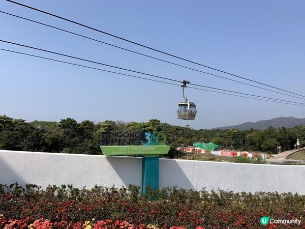 【大嶼山悠記】週末到大嶼山走走，你會再一次發現這座城市的魅力｜昂坪 360、昂坪市集、天壇大佛、心經簡林