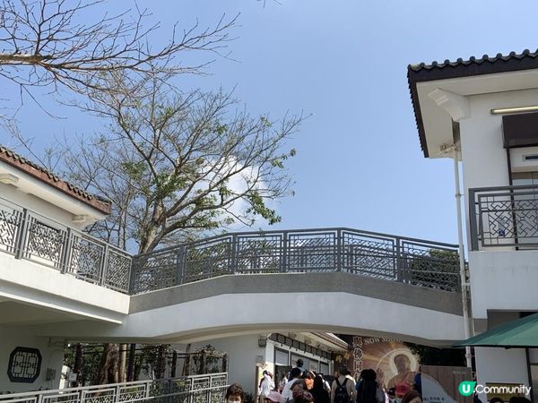 【大嶼山悠記】週末到大嶼山走走，你會再一次發現這座城市的魅力｜昂坪 360、昂坪市集、天壇大佛、心經簡林