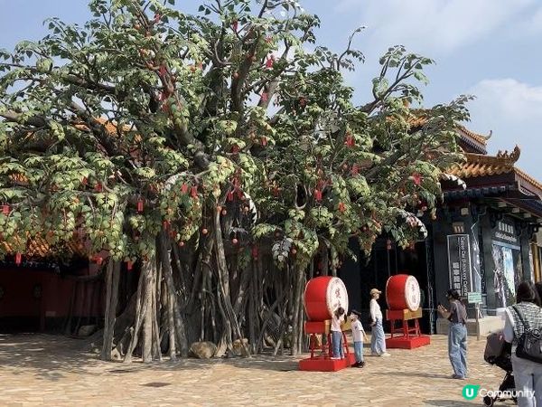 【大嶼山悠記】週末到大嶼山走走，你會再一次發現這座城市的魅力｜昂坪 360、昂坪市集、天壇大佛、心經簡林