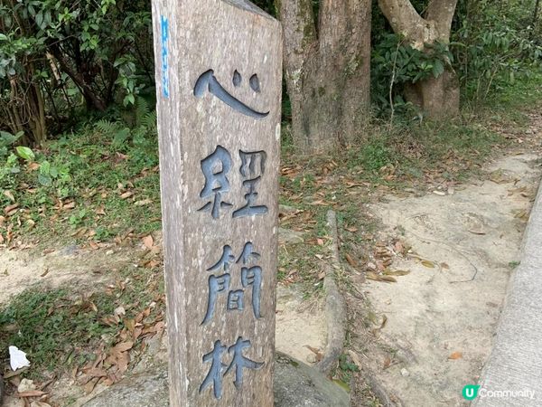 【大嶼山悠記】週末到大嶼山走走，你會再一次發現這座城市的魅力｜昂坪 360、昂坪市集、天壇大佛、心經簡林