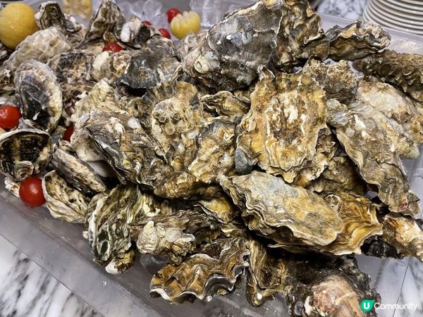 🇯🇵 限定•日本高知県柚子甜品•自助餐