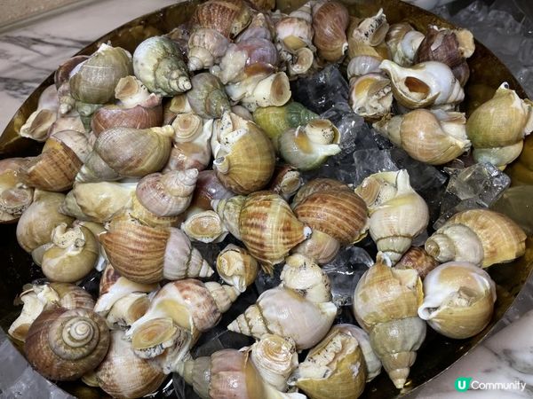 🇯🇵 限定•日本高知県柚子甜品•自助餐