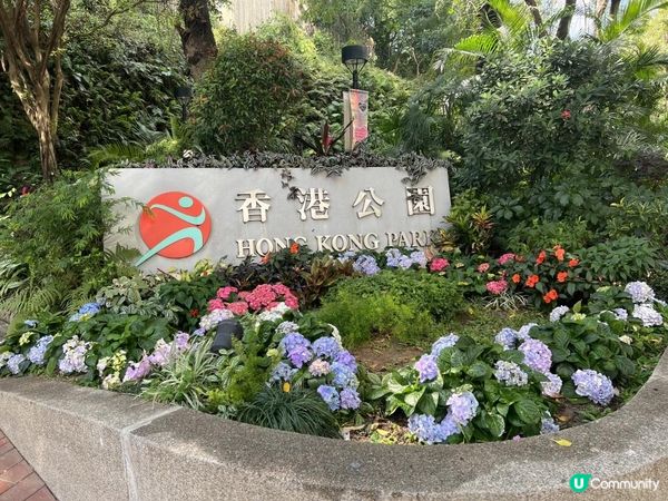 春回大地｜百花爭艷｜賞花好去處