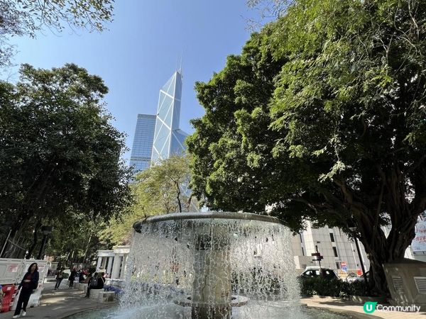 春回大地｜百花爭艷｜賞花好去處