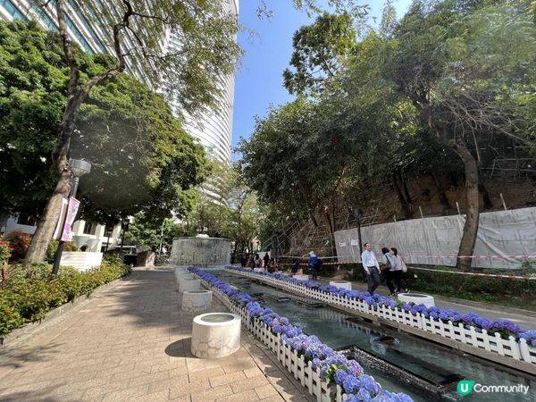 春回大地｜百花爭艷｜賞花好去處