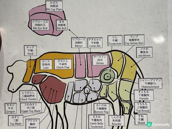 🇯🇵 有ʜᴇᴀʀᴛ•超滿足廚師發辦