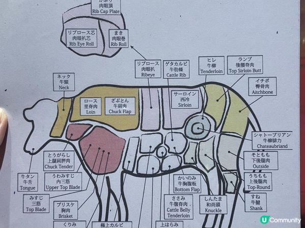 🇯🇵 有ʜᴇᴀʀᴛ•超滿足廚師發辦