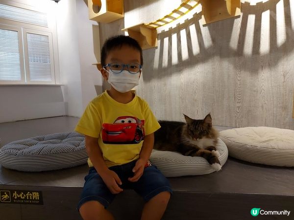 【暟。玩。樂】#26 與貓貓共聚的時光【Cat Cafe 1】
