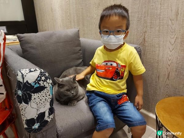 【暟。玩。樂】#26 與貓貓共聚的時光【Cat Cafe 1】