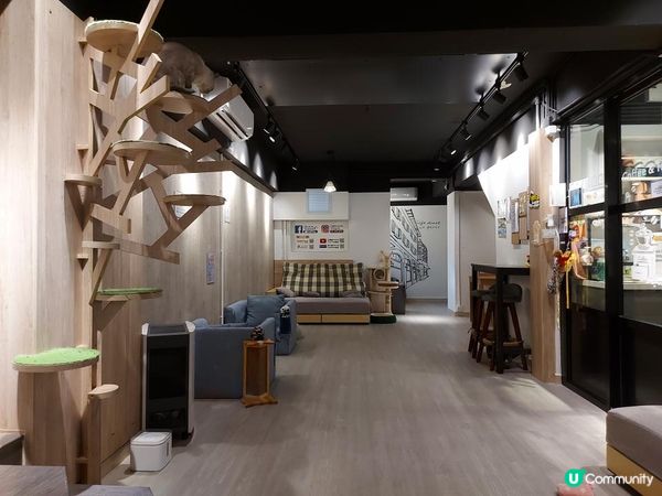 【暟。玩。樂】#26 與貓貓共聚的時光【Cat Cafe 1】