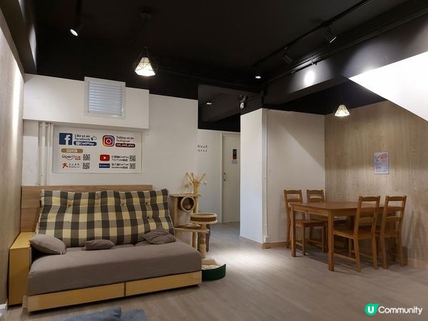 【暟。玩。樂】#26 與貓貓共聚的時光【Cat Cafe 1】