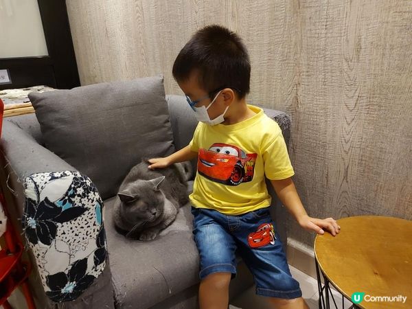 【暟。玩。樂】#26 與貓貓共聚的時光【Cat Cafe 1】