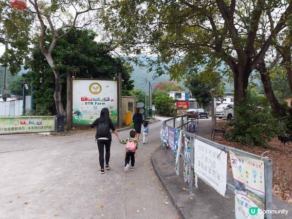 【暟。玩。樂】#27 禾田喜山 x Camping (上集)【農莊系列 5】