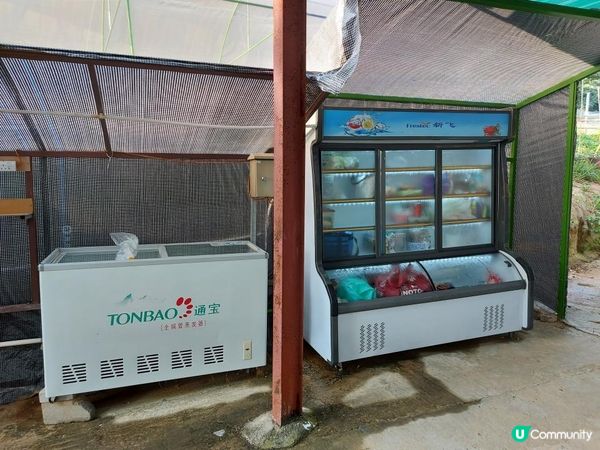 【暟。玩。樂】#27 禾田喜山 x Camping (上集)【農莊系列 5】