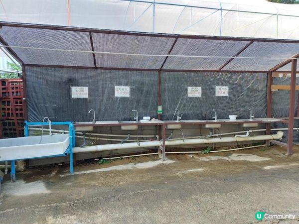 【暟。玩。樂】#27 禾田喜山 x Camping (上集)【農莊系列 5】