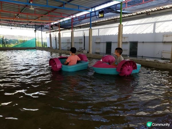 【暟。玩。樂】#28 禾田喜山 x Camping (下集)【農莊系列 5】