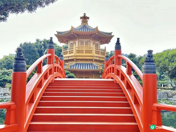 鬧市中的淨土｜南蓮園池💧志蓮淨苑🪷