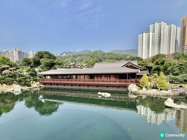 鬧市中的淨土｜南蓮園池💧志蓮淨苑🪷