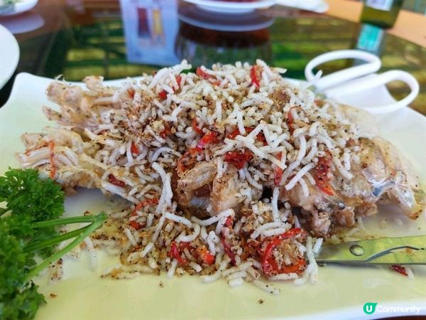 [食評分享]💕 超正的午市海鮮餐