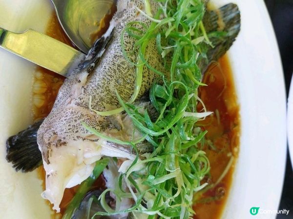 [食評分享]💕 超正的午市海鮮餐