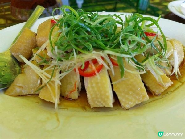 [食評分享]💕 超正的午市海鮮餐