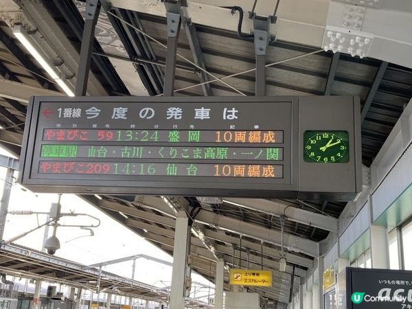 日本東北白色新年之旅 --- 與宮城小狐狸有個約會