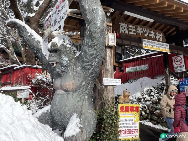 日本東北白色新年之旅 --- 與宮城小狐狸有個約會