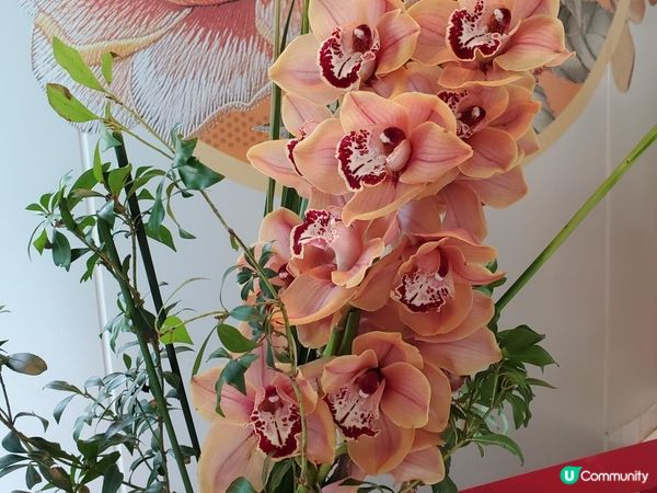 《港島香格里拉夏宮月餅 ~ 七折優惠》