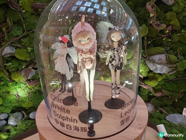 《好去處:瀕「藝」共生 Art for the Earth》