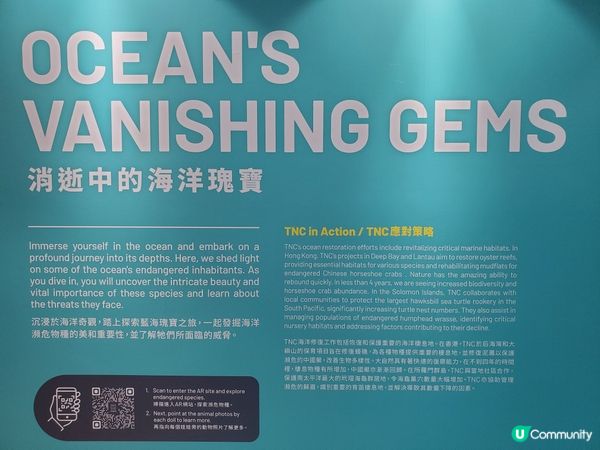 《好去處:瀕「藝」共生 Art for the Earth》