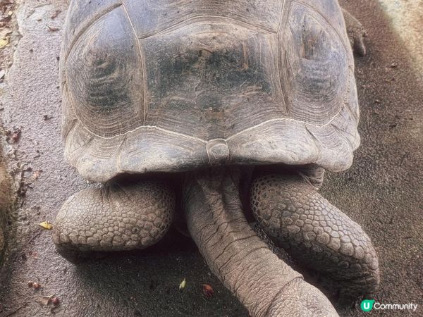 玉泉洞 沖繩世界文化王國