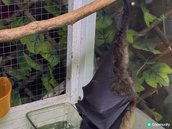 玉泉洞 沖繩世界文化王國