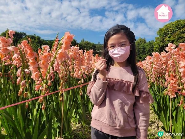【偽日本之旅: 元朗信芯園農莊】