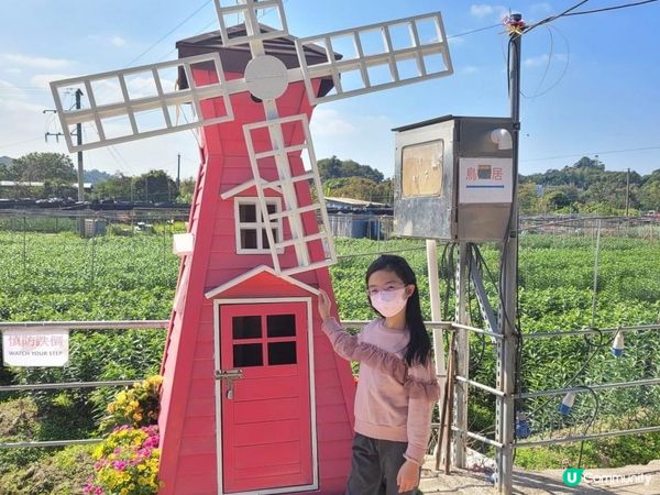 【偽日本之旅: 元朗信芯園農莊】