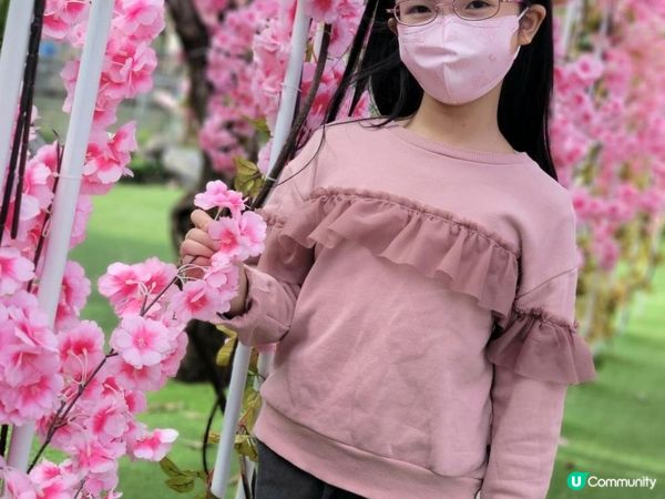 【偽日本之旅: 元朗信芯園農莊】