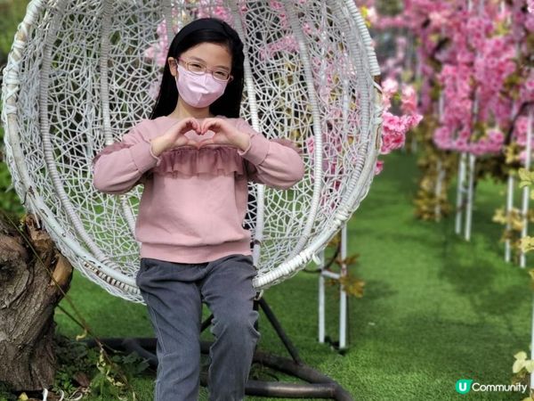 【偽日本之旅: 元朗信芯園農莊】